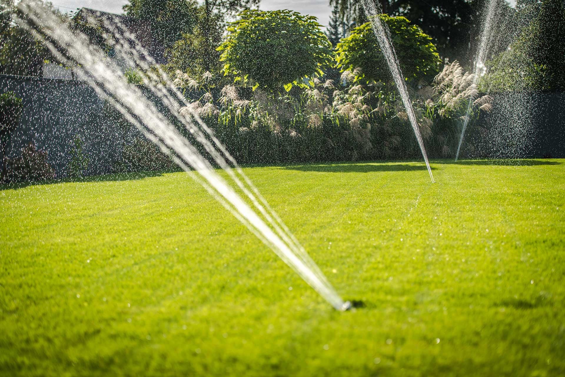 Expert Drainage Services in Springtown , TX Focused on Long-Term Results