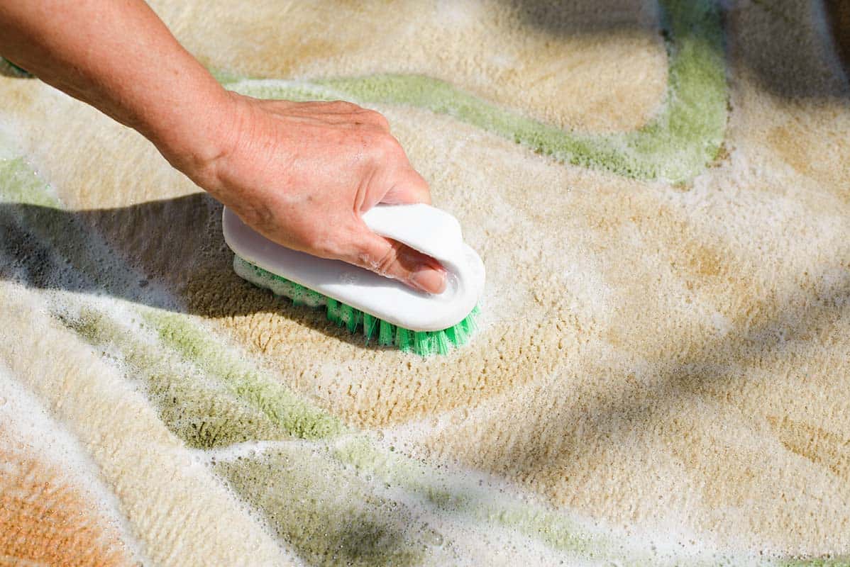 Restore and Protect with area rug cleaning allandale austin tx